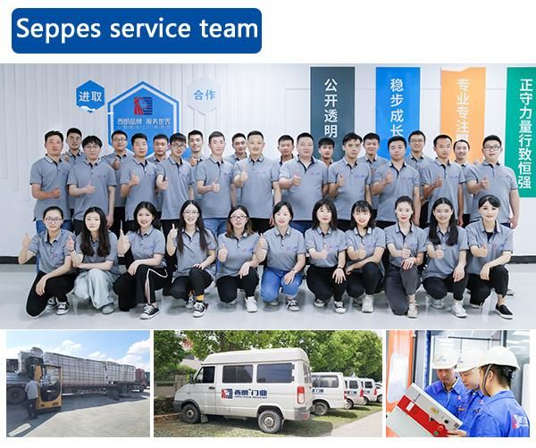 Lorry Loading System Install Factory Customized Dock Leveler