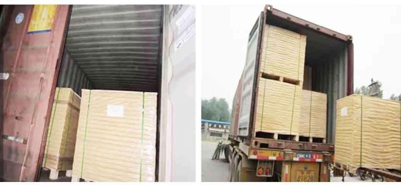 3 Ton 5ton 380 V Electric Chain Block with Hook