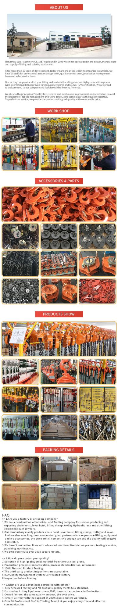 China Factory High Quality 0.3t to 100t 3 Phases or 1 Phase 380V or 220V Portable Crane Electric Chain Pulley Block and Electric Chain Hoist