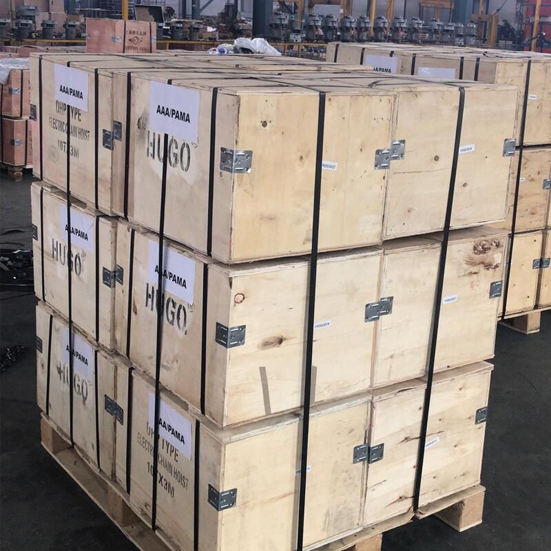 10t 20t Electric Chain Hoist Electric Chain Hoist for Lifting Work