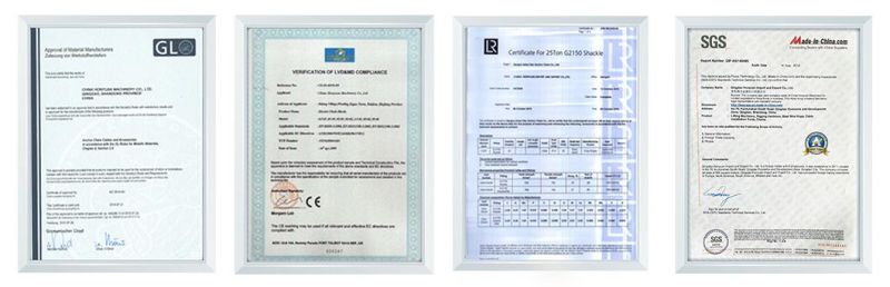 3ton Wireless Remote Electric Chain Hoist with Overload Cluch for Crane by CE Certificate