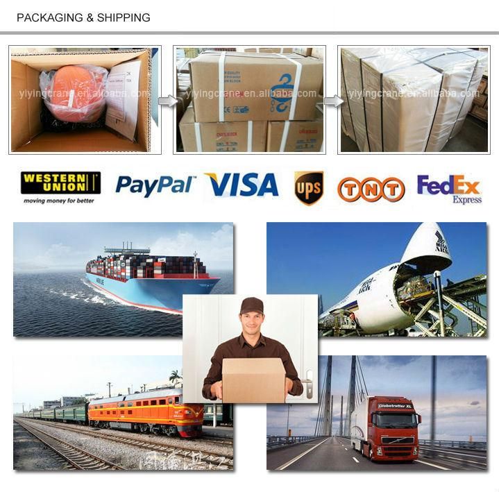 Good Popular Building Hs-Vn Chain Block Chain Lifts