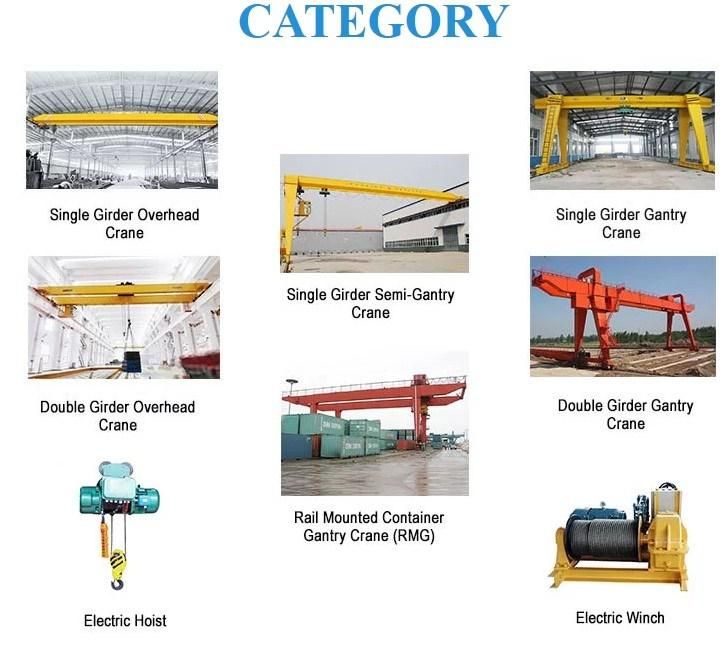 China Good Quotation Electric Wire Rope Remote Hoist 1t, 3t, 5t, 10twith SGS ISO CE Certification