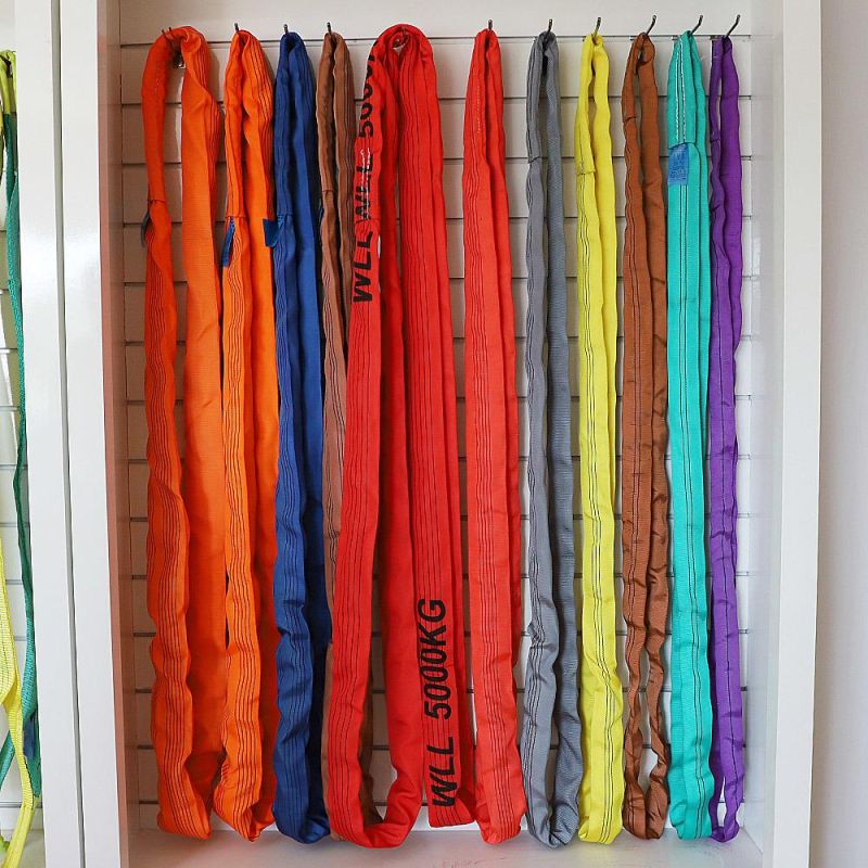 Color Polyester Round Sling/ Lifting Sling/Webbing Sling