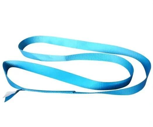 8t Polyester Endless Webbing Sling