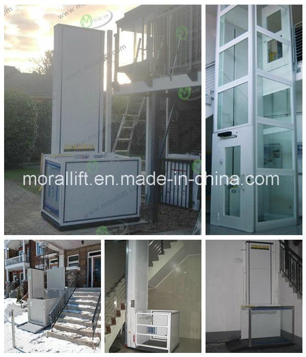 300kg Vertical Platform Lift Indoor Home Lift