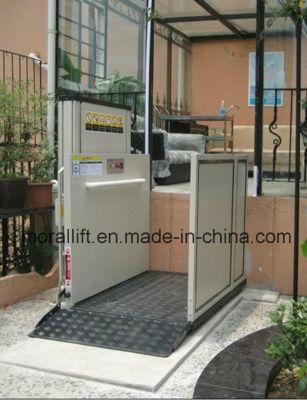 Home Wheelchair Platform Lift for Disabled