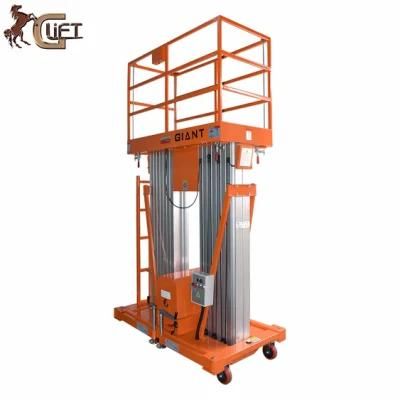 China Manufacturer 200kg Electric Work Platform with Double Mast Lifting Height 9m