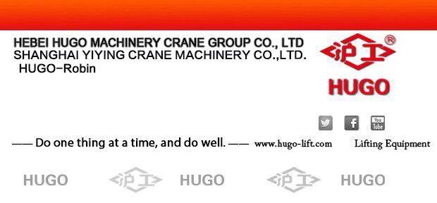 Overweight Protect 5 Ton Electric Chain Hoist