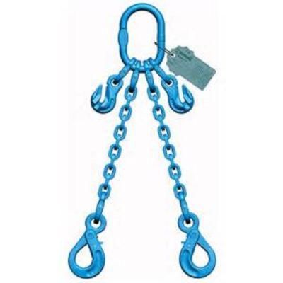 Welded G80 Two Legs Chain Sling for Lifty Device