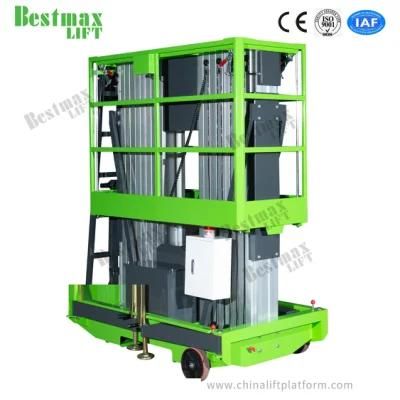 6m Platform Height Vertical Lift with Double Mast