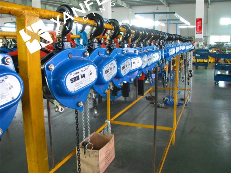 30ton X 6m Lifting Chain Block