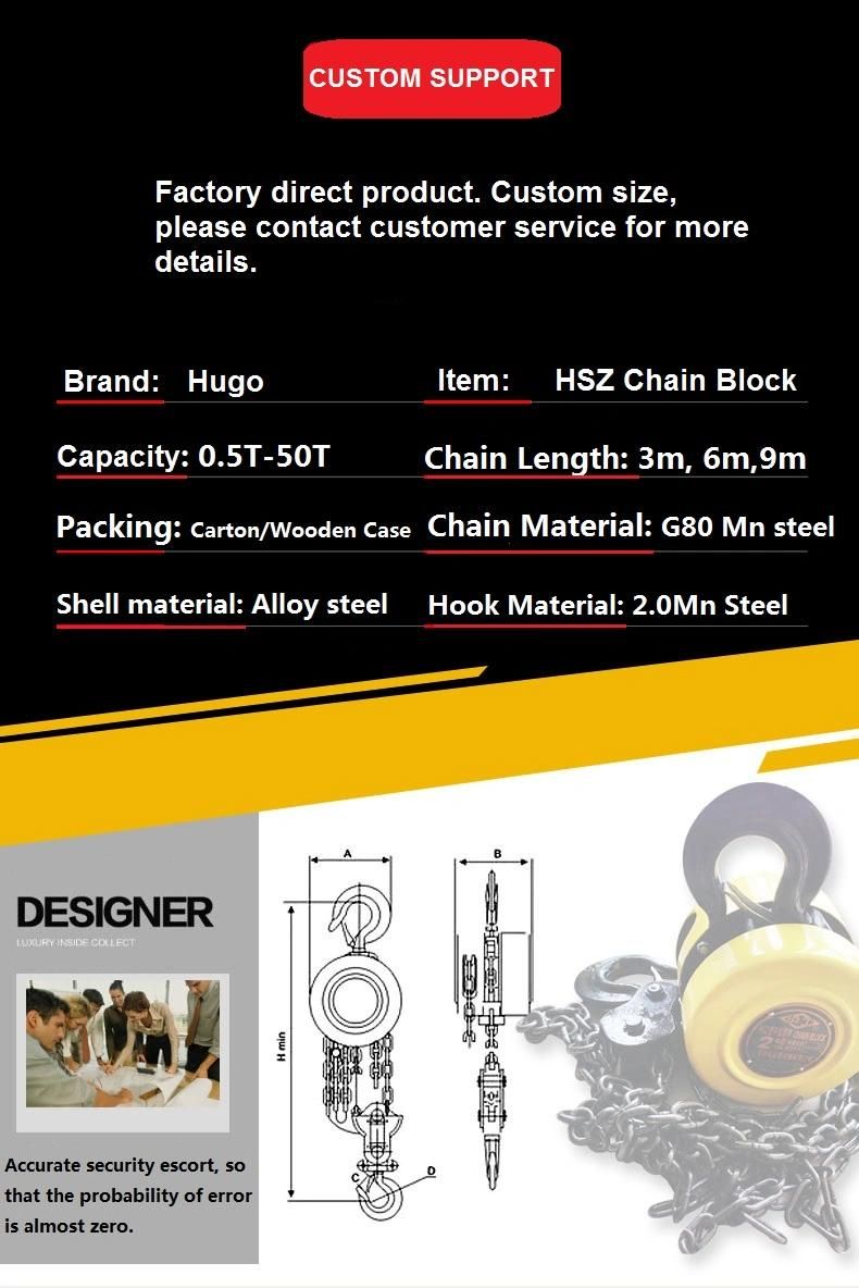 Best Quality Crane Hoist Lifting Equipment Hsz Type