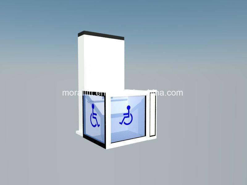 Indoor Residential Villa Disabled Home Elevator