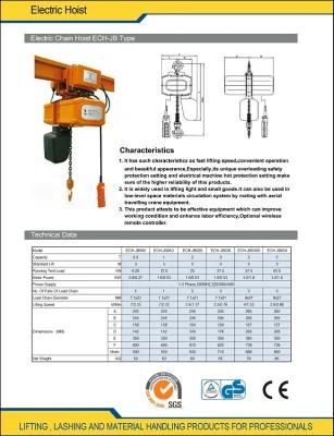 2 Ton Electric Chain Hoist Stage