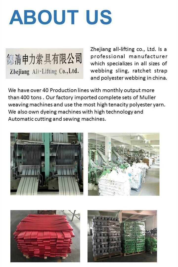 2t High Tenacity Polyester Sling Webbing Lifting Belt Webbing