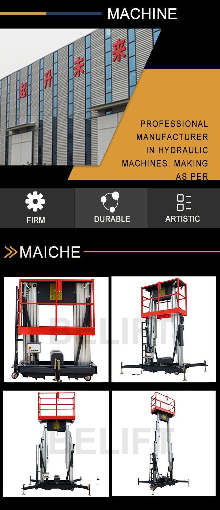 Standard Dual Column Mast Aluminium Ladder High Aerial Lift