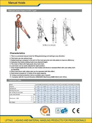 1 Ton Used Mini Manual Hoist