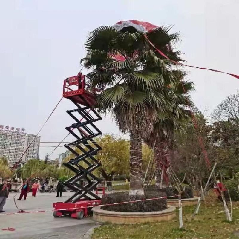 Electric Hydraulic Mini Mobile Scissor Lift Table, Small Platform Scissor Lift, Hydraulic Lift Table Cart