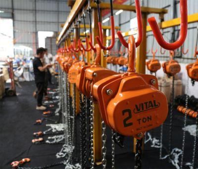 Factory 1ton 2ton Vt-Vital Chain Block Chain Lever Hoist Good Quality with Good Price