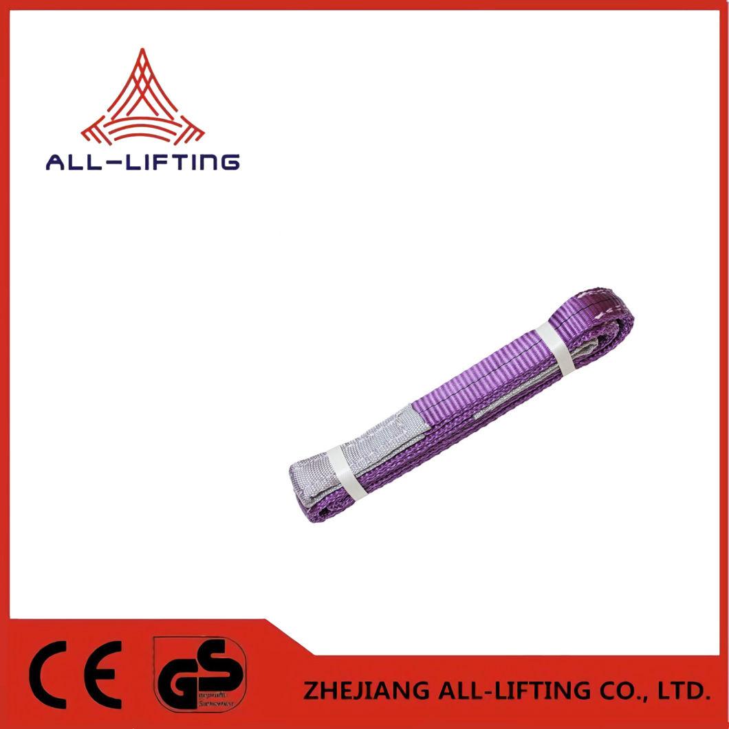 1ton 1-10m Eye-Eye Webbing Sling