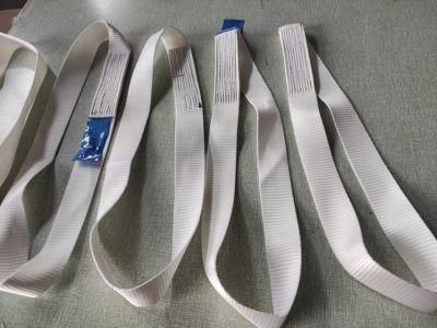 Endless Webbing Sling, One Way Lifting Sling En1492-1, DIN 60005