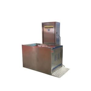 China Factory Indoor Home 250kg Platform Lift for Handicapped Lift