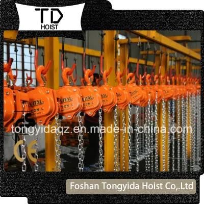 Manual Chain Block 1 Ton/2 Ton/3 Ton/ 5 Ton Chain Block