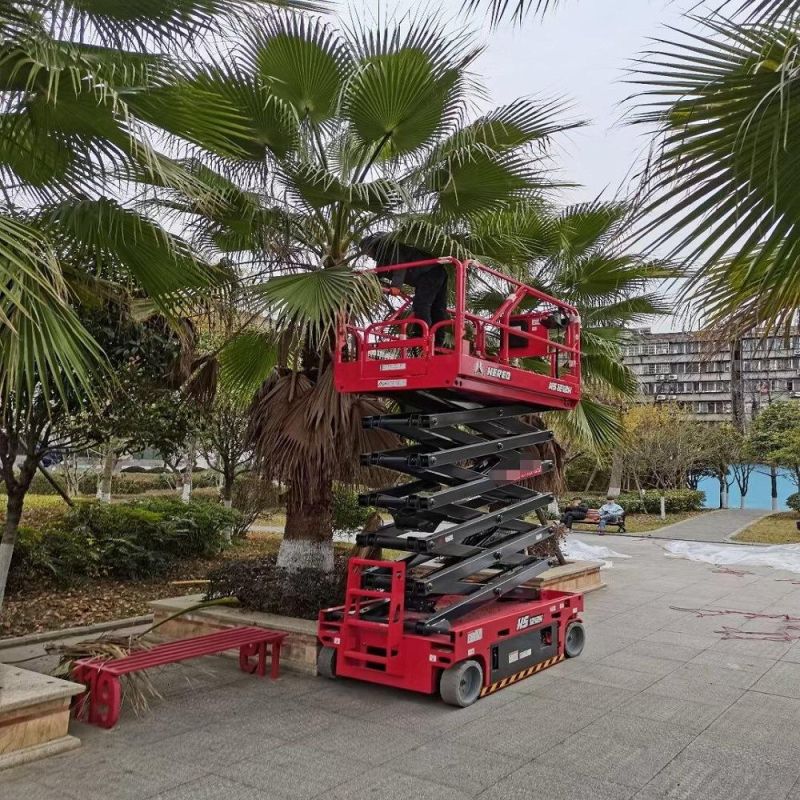 Customized 230kg Mobile Hydraulic Electric Scissor Lift
