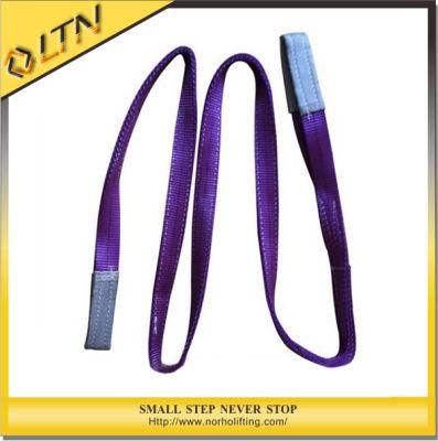 Light Lifting Equipment Polyester Webbing Sling (NHWS-A)