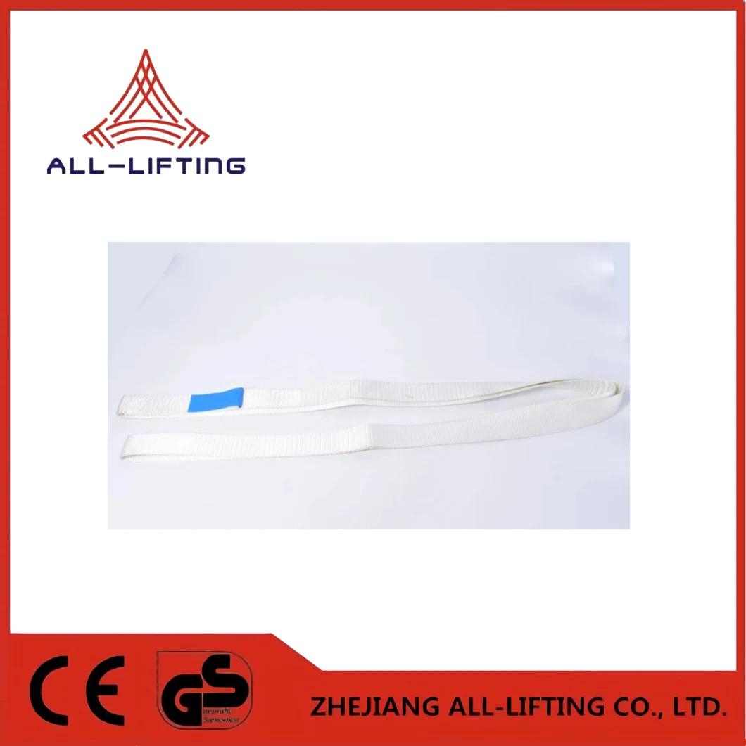 Polyester En1492 Standard Wll500kg Endless Sling