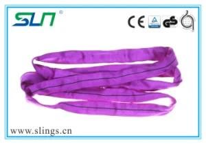 2018 Polyester Round Sling 1t*3m Violet with Ce/GS
