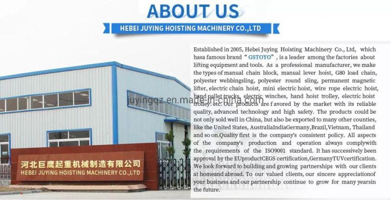 3 Phase Electric Chain Hoist China with Remote