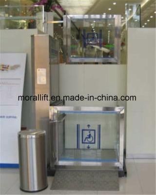 Domestic Wheelchair Lift for Outdoor Use