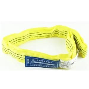 Manufacturers 1-10t Polyester Webbing Sling/ Lifting Belt