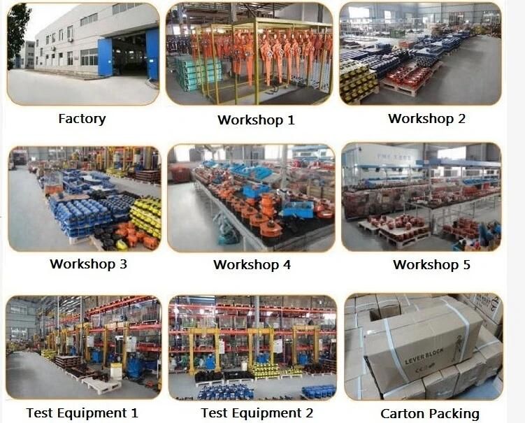 Safety Factor 6: 1 Polyester Wowen Flat Webbing Sling (NHWS-A)