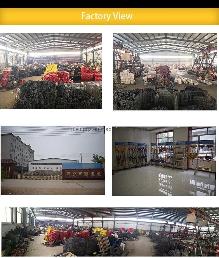 High Quality 1ton 2ton 3ton 5ton 10ton 3meters Hand Manual Chain Pulley Block with TUV Certificate