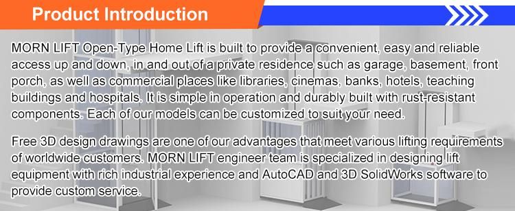 Outdoor Indoor Vertical Wheelchair Platform Lift for Disabled