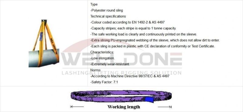 1 Ton 1m to 10m Length Cheap Price Polyester 1t Round Lifting Belt Sling with Purple Color Safety Factor 8: 1 7: 1