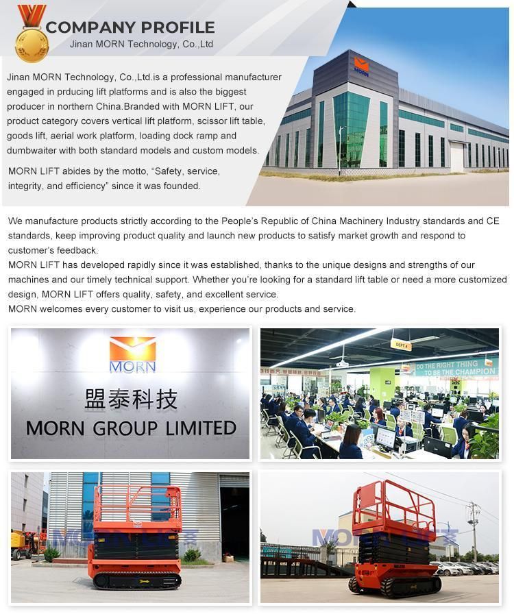 4m 6m 8m 10m 12m Electric Hydraulic Tracked Self Propelled Mobile Aerial Work/Working Lift/Lifting Platform
