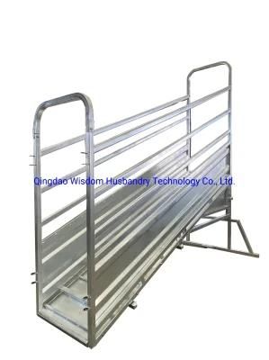 Cattle Ramp Without Walk Way Livestock Cattle Ramp