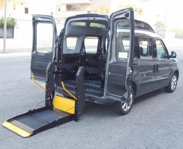 Ce Certified Electric Wheelchair Lift for Van, Disabled Wheelchair Lift (WL-D-880U)