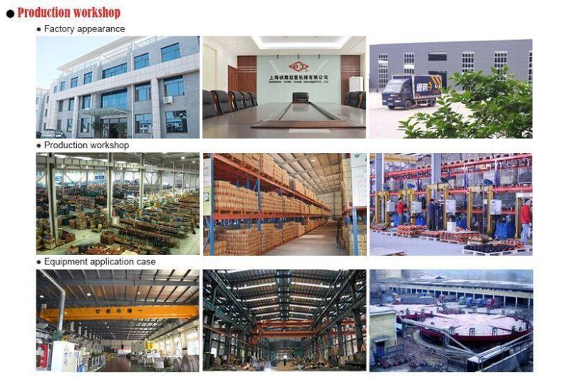 0.75 Ton-10 Ton Lever Block Chain Block Manufacturer