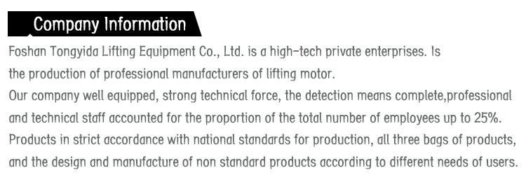 High Quality Vital Type Chain Block Chain Hoist 1ton to 20ton