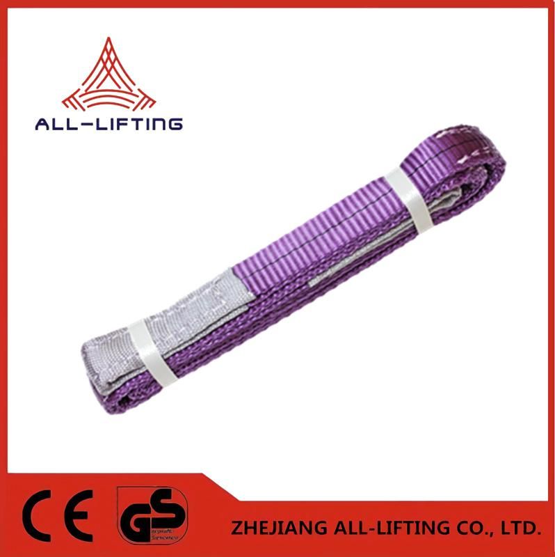 Lifting Polyester Webbing Slings From 1ton to 10 Ton Acc to En1492-1 Manufacturer