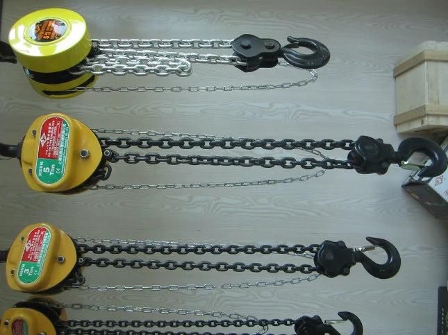 Lifting Machine Electric Chain Hoist