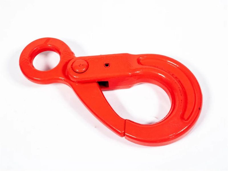 G80 European Type Eye Self-Locking Hook Safety Hook for Sale