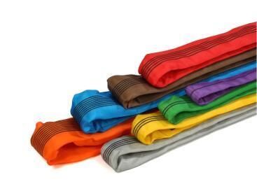 8t Polyester Round Sling