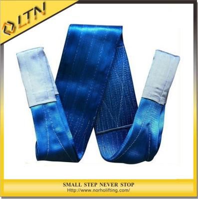 Polyester Webbing/Web Design Sling/Lifting Sling (NHWS-B)