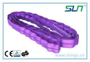 2018 Sln Endless Violet 1t*10m Round Sling with Ce/GS